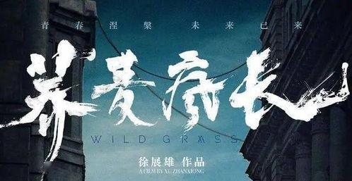 疯长物语,探索疯狂生长的奇幻世界