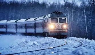 雪国列车,末世列车上的生存与救赎之旅