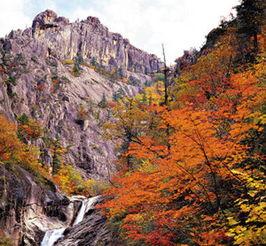 智异山,自然奇观与生态宝库的绿色秘境