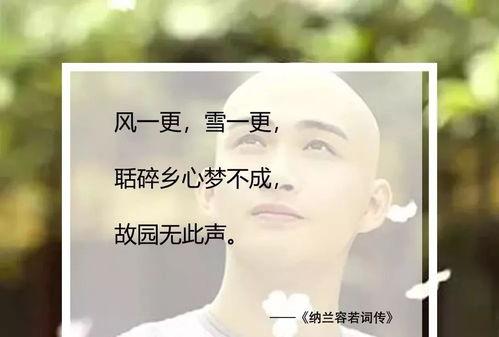 容先生你的爱意藏不住了,藏不住的爱意流露