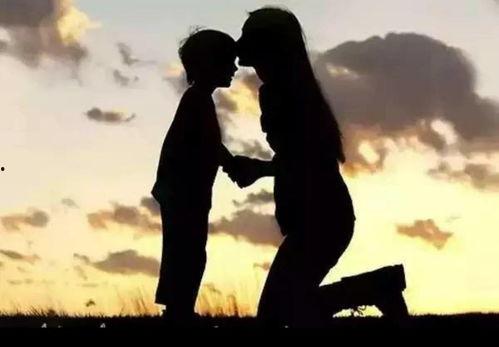 被偷走的人生（遥不可及的母亲）,遥不可及的母亲，追寻失落的亲情轨迹